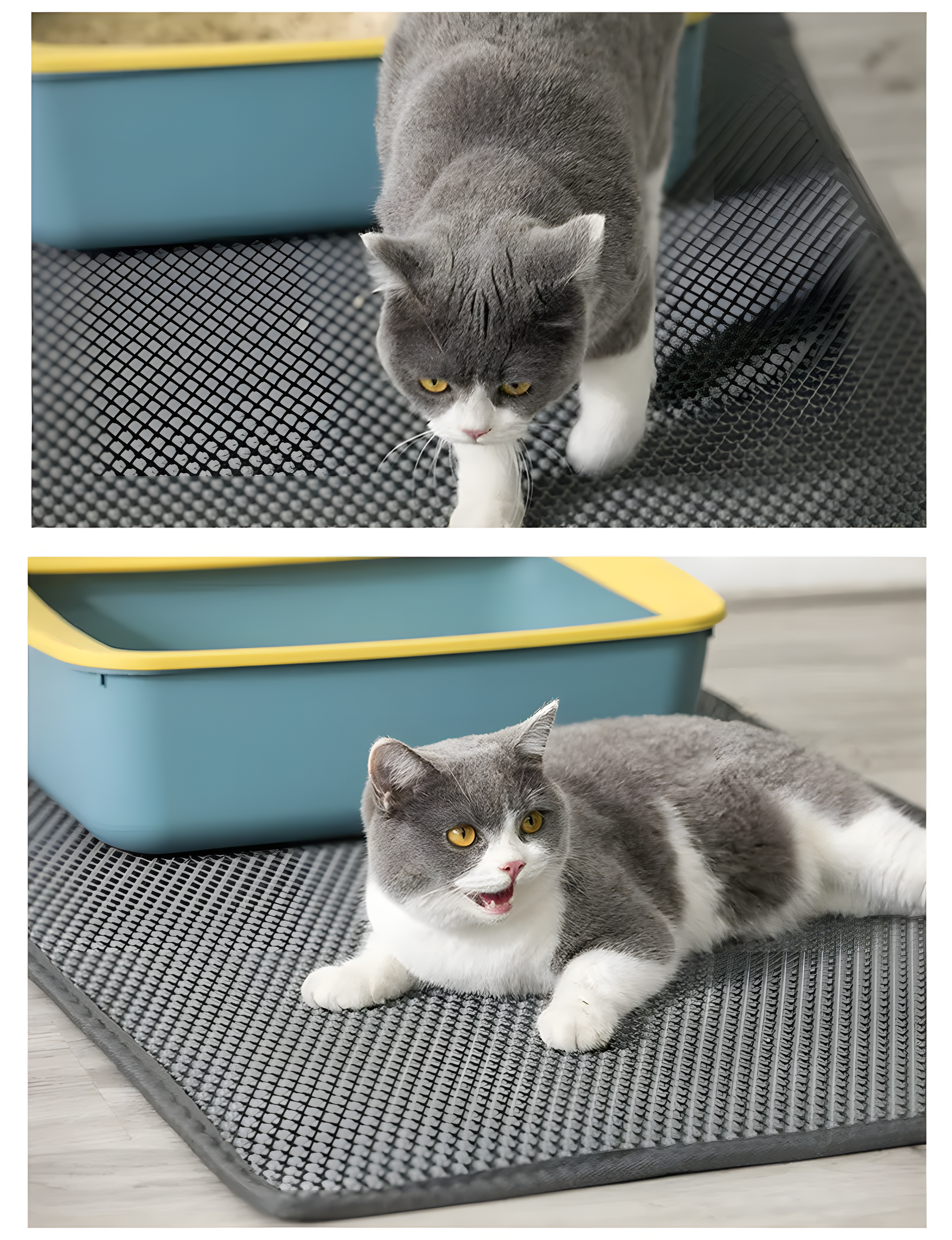 Layer Honeycomb Cat Litter Mat
